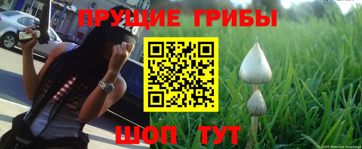 Каспийск  Галлюциногенные грибы ЛСД  Вход с VPN 